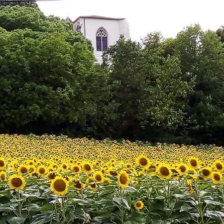 Sans Souci Penzion 3*