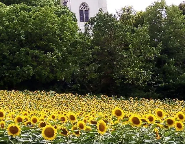 Sans Souci Penzion 3*